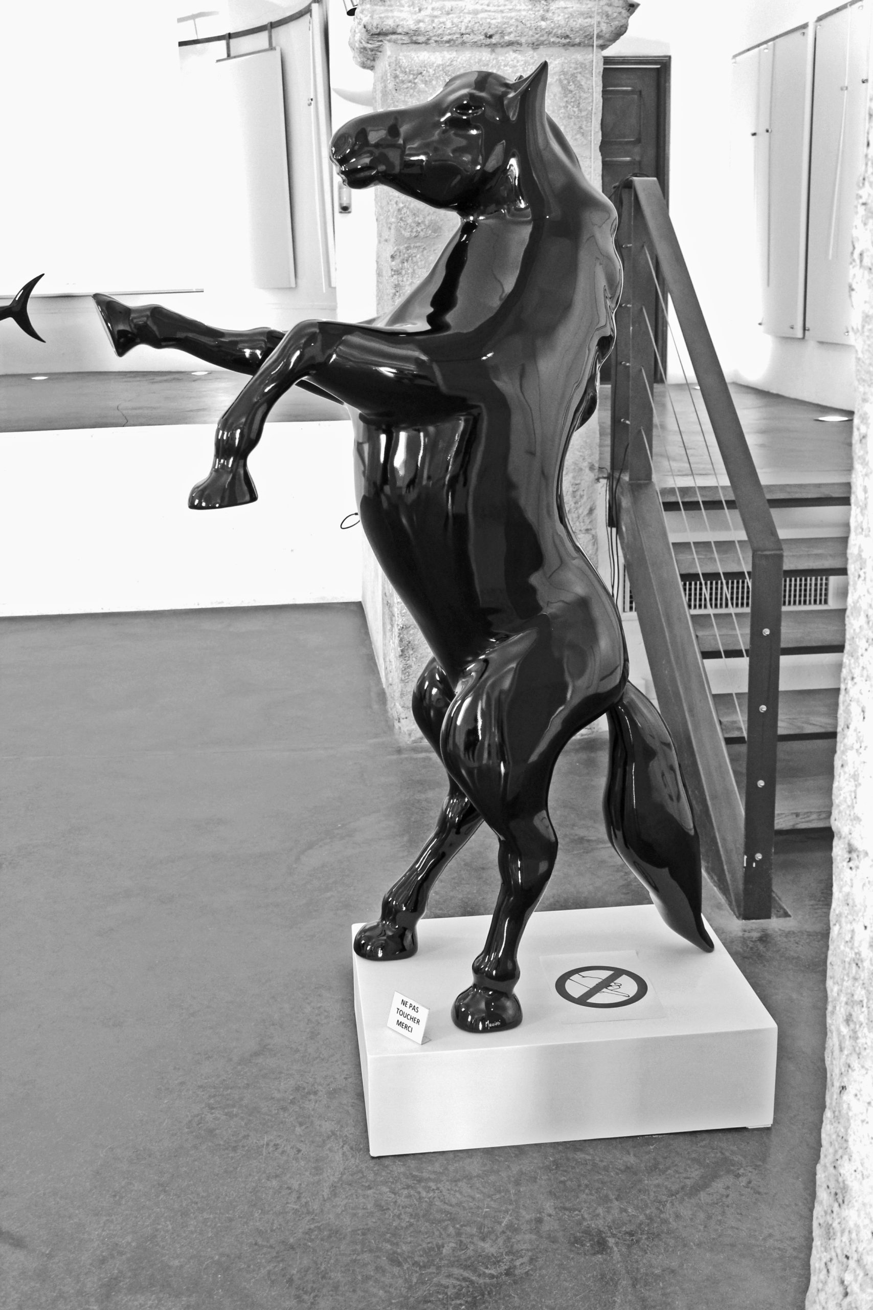 Black Horse 180 cm