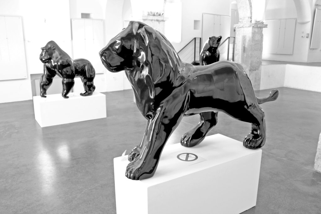 Black Lion 225 cm
