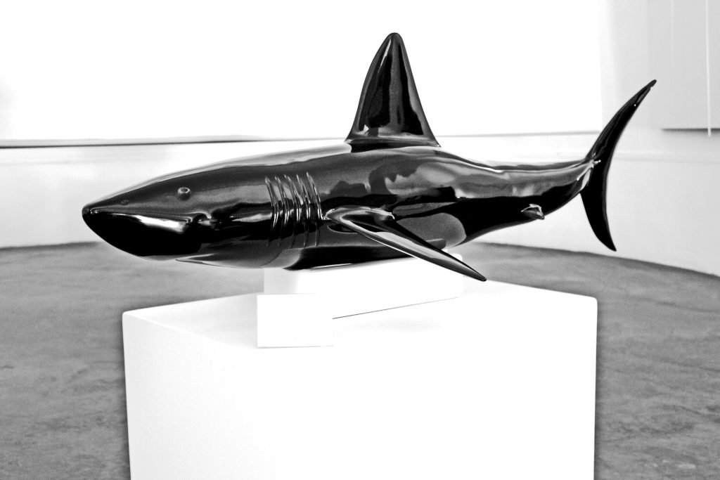Black shark 120 cm