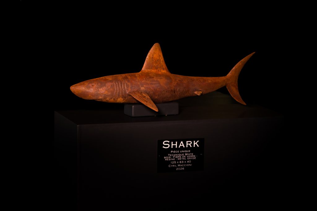 Shark - Sculpture bois stratifié et métal oxydé - 120 cm